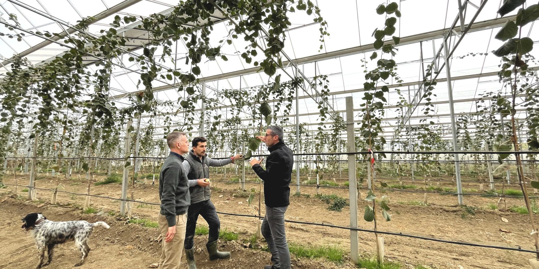 2025_UBS Vergers Cancel 04