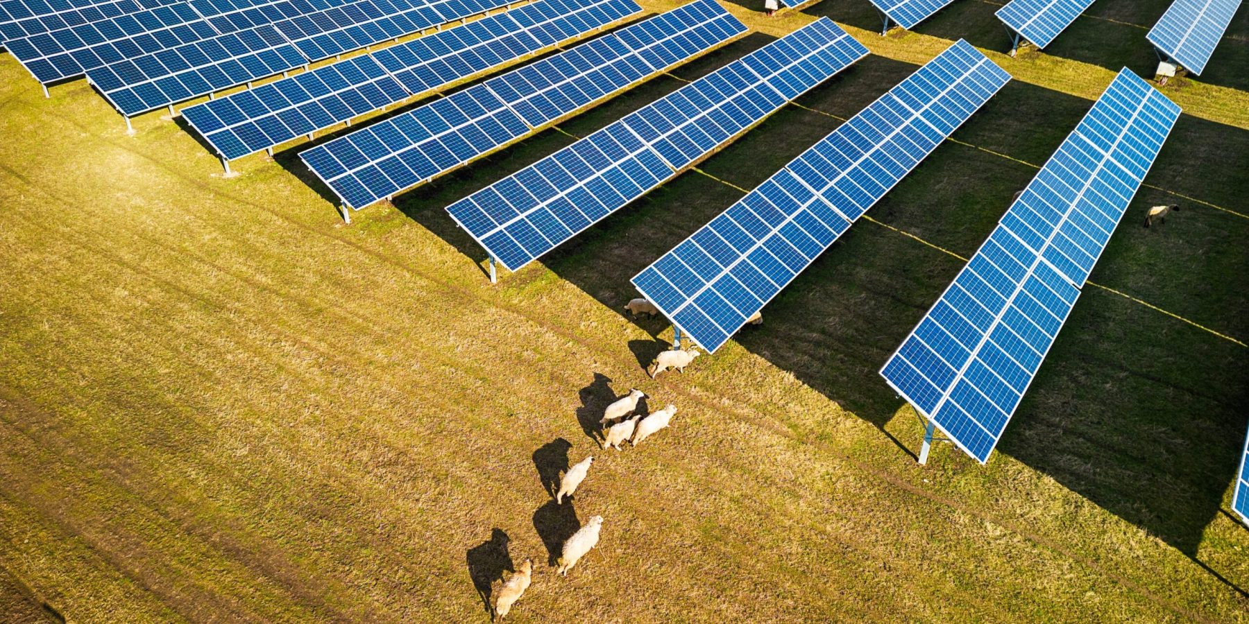 Solar,Panel,Produces,Green,,Environmentaly,Friendly,Energy,From,The,Setting